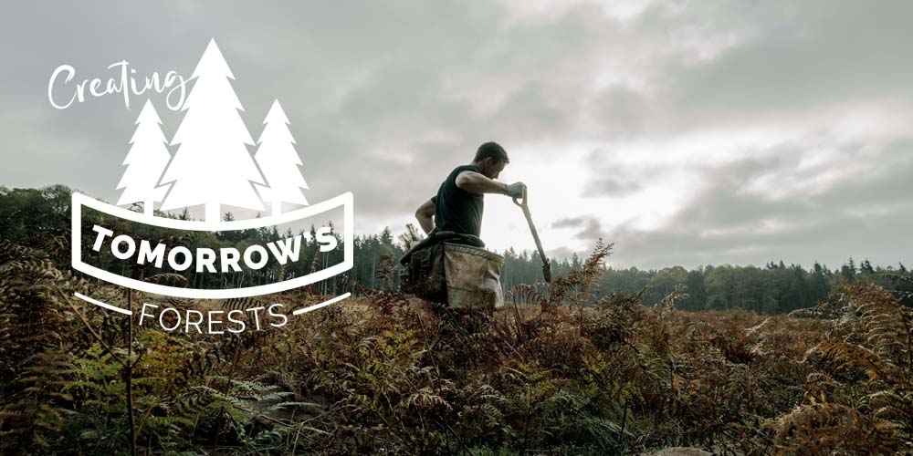 Creating Tomorrow's Forests - Header Creating_Tomorrows_Forest_Banner